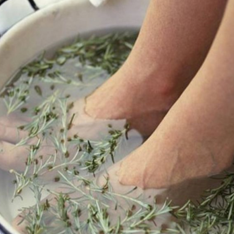 Feet in water bath with herbs